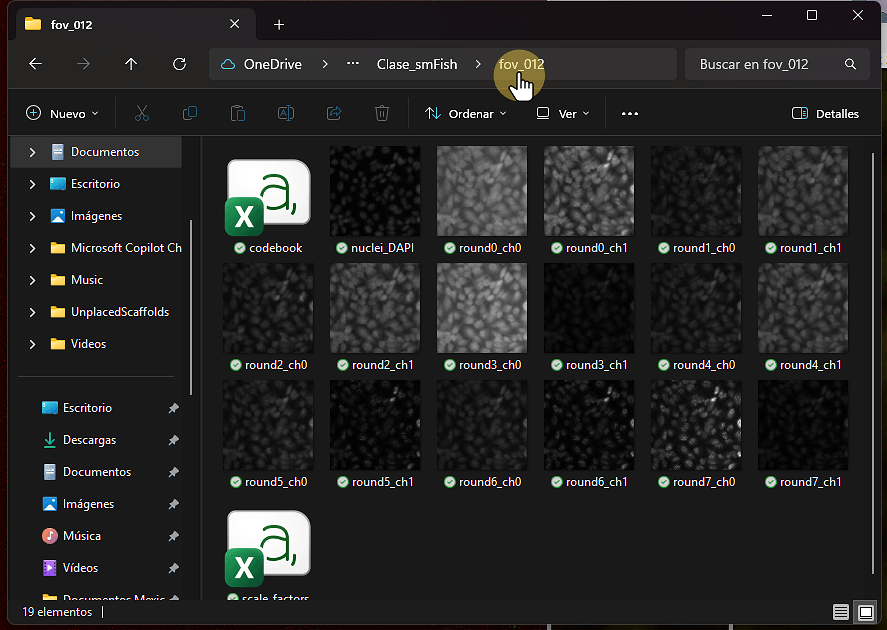 Identifica ruta a imágenes que descargaste