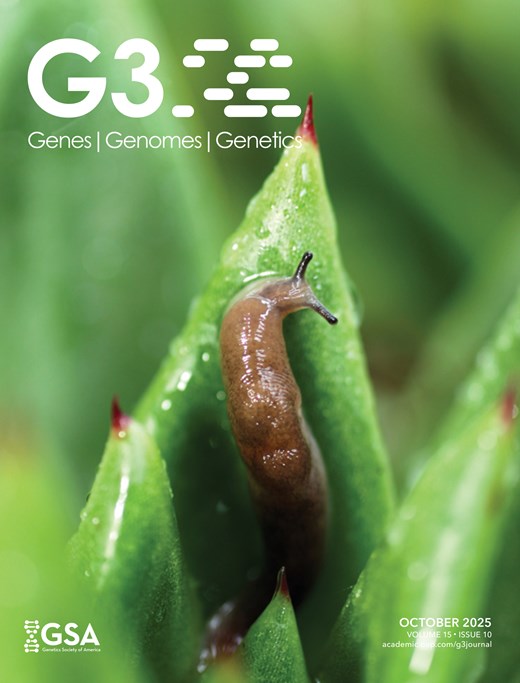 G3 cover: chromosome-level genome of Deroceras laeve